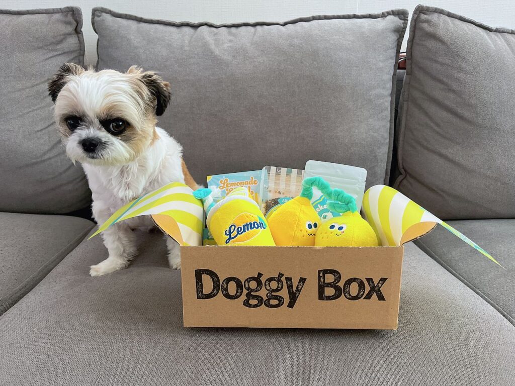 ワンちゃんのためのワクワク定期便「Doggy Box ( ドギーボックス )」2024年8月分が届きました | サブファミ